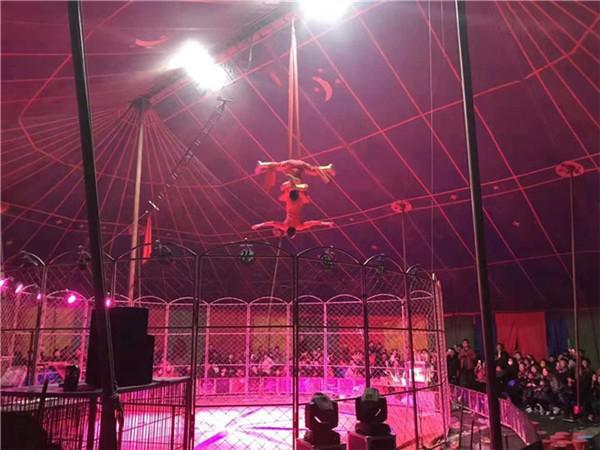 寧岡馬戲團(tuán)表演租賃活動(dòng)暖場(chǎng)