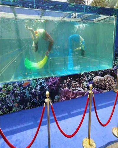 沈陽馬戲團出租預約電話