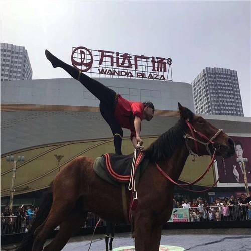 宜賓市哪里有馬戲團表演出租一天多少錢 - 眾鑫動物表演租賃