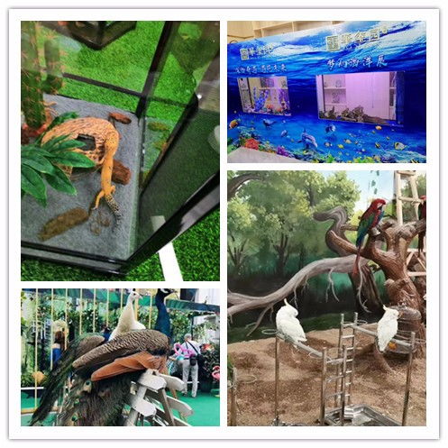 六盤水市鸚鵡表演出租親子互動