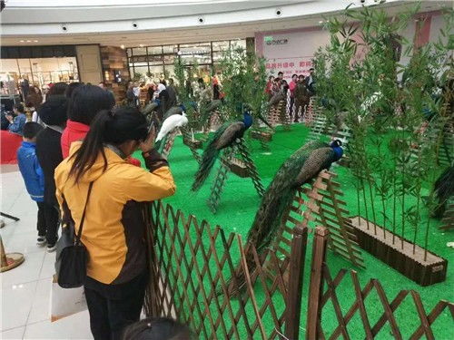 大慶市對外馬戲團表演出租大型慶典