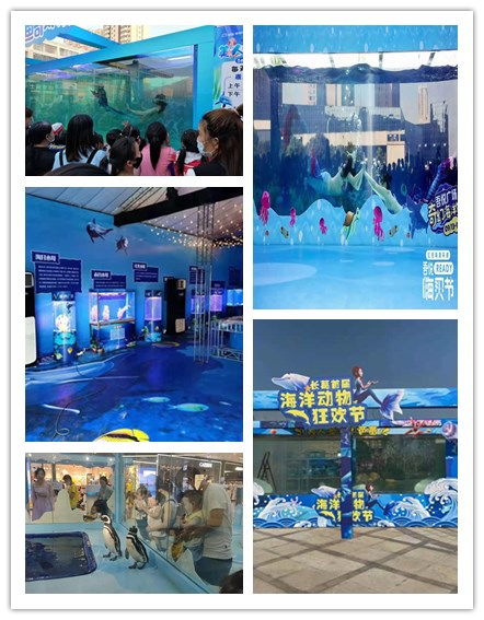 湖北隨州市馬戲團(tuán)表演出租