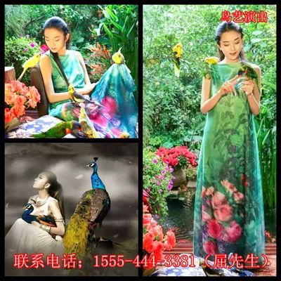 云南迪慶藏族自治州維西傈僳族自治縣出租企鵝_山東誠信動物租賃 - 商國互聯(lián)網(wǎng)