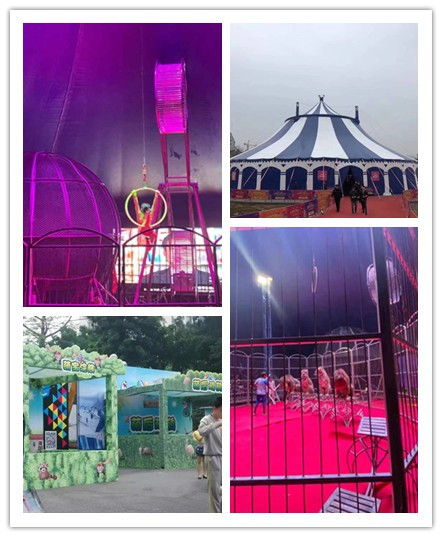 沈陽市馬戲團(tuán)表演出租企鵝租賃元旦活動(dòng)