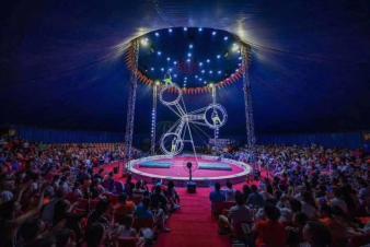 春節(jié)出租馬戲團表演檔期充足