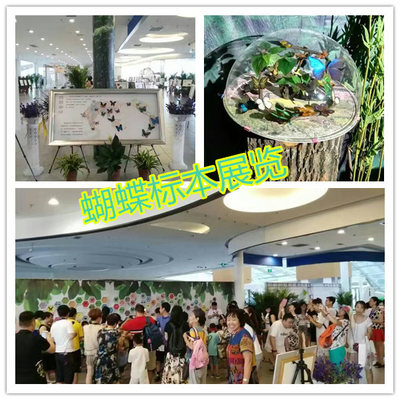 對外出租馬戲團雜技演出 全國供應_設備租售_演藝吧_中華演出網