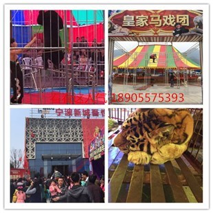 哪里有百鳥(niǎo)展泰州租賃