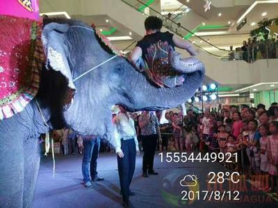 重慶市環(huán)球飛車(chē)表演租賃哪家便宜