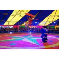 【湖北專業馬戲團雜技表演出租圖片】湖北專業馬戲團雜技表演出租