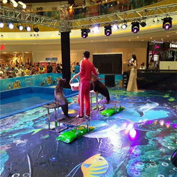 遼寧省來自馬戲之鄉(xiāng)的馬戲團(tuán)出租