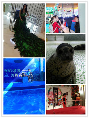 黑龍江本地馬戲團表演出租