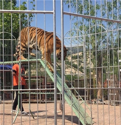 吉林省海洋生物魚缸展出租