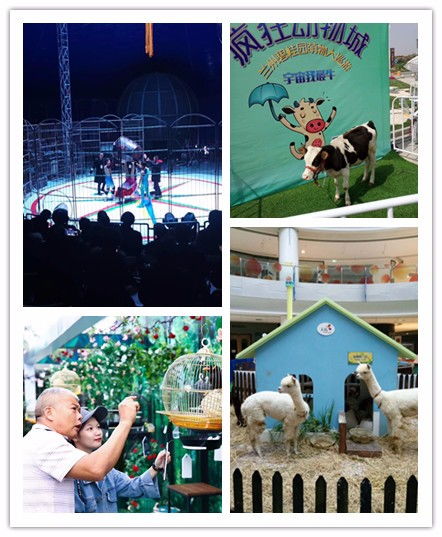 南康市租賃馬戲團表演附近