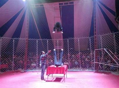 馬戲團(tuán)表演公司大型馬戲團(tuán)精彩演出馬戲團(tuán)表演出租