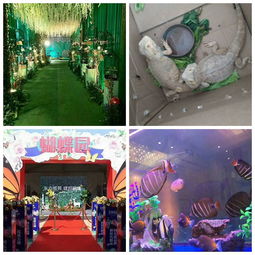 上海會(huì)吸引人氣的動(dòng)物有哪些新聞資訊aa蒞臨詳談