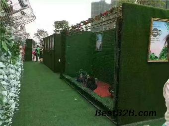 荊門市馬戲團表演海獅房地產(chǎn)動物租賃公司