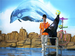 蘇州馬戲團租賃活動商業(yè)演出選擇