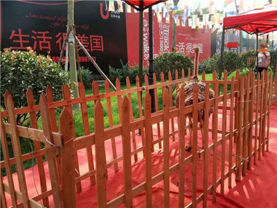 侯馬馬戲團(tuán)表演海獅出租租賃