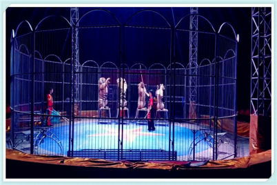 鄂爾多斯馬戲團(tuán)演出 合作共贏的精彩盛宴