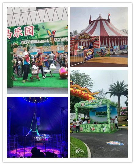 東臺市周邊羊駝出租租賃、海洋展與馬戲團出租賃服務詳解